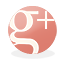 Google+ icon