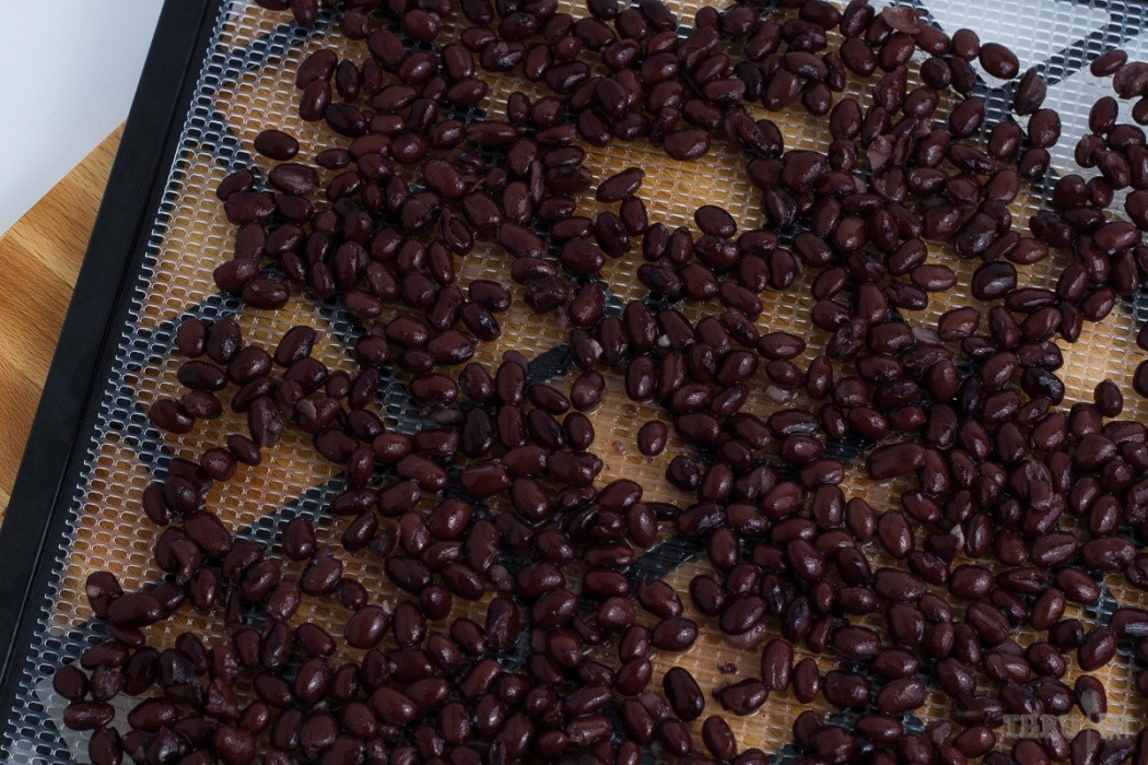 Dehydrate canned or home cooked black beans black beans on a dehydrator tray