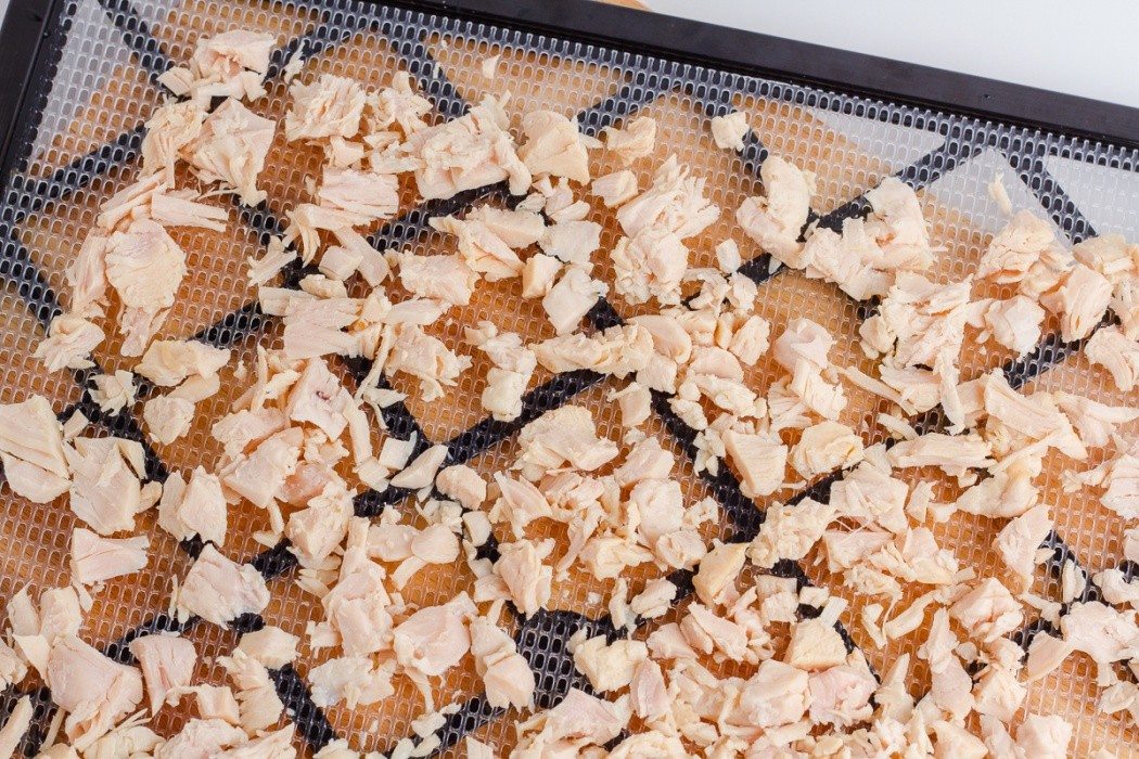 Break large chunks of chicken into smaller pieces for even dehydration canned chicken spread on a dehydrator tray
