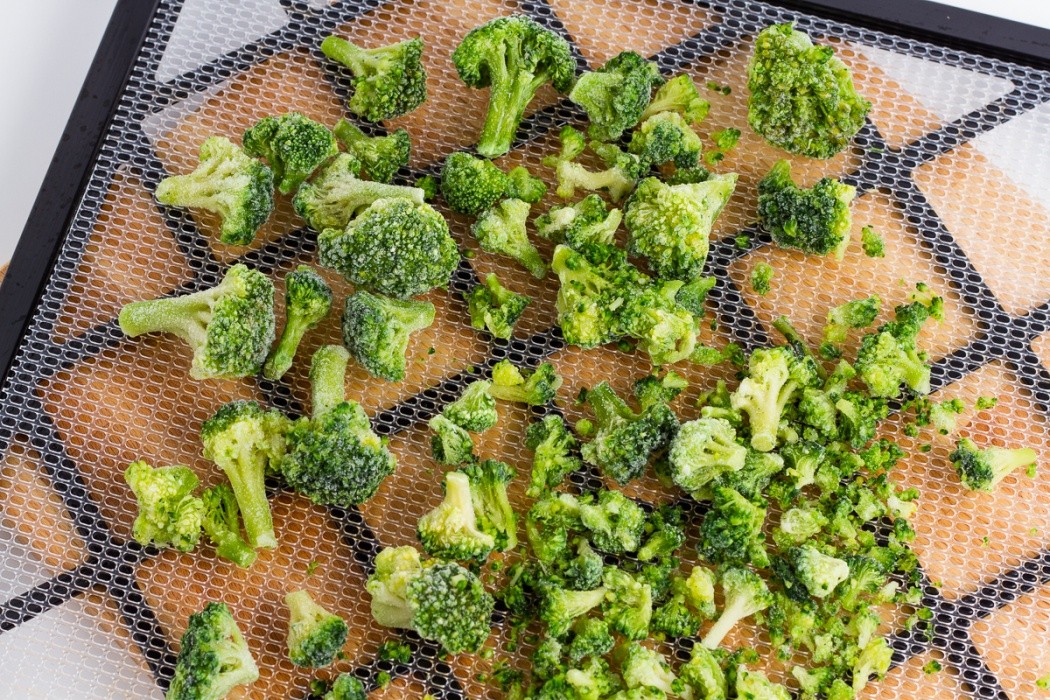 frozen broccoli spread on a dehydrator tray