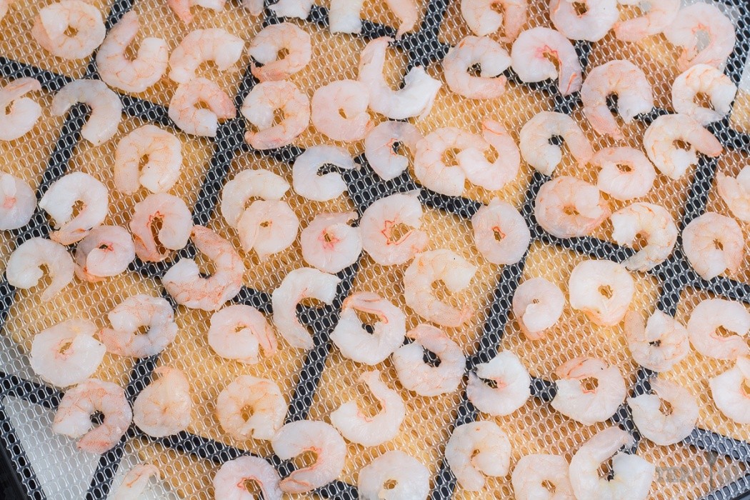 Pat shrimp as dry as possible to speed up dehydrating shrimp on a dehydrator tray