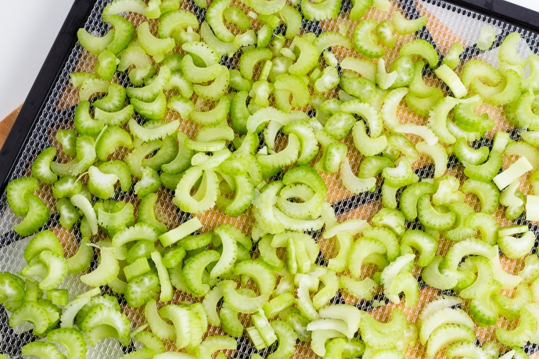 chopped celery on a dehydrator tray