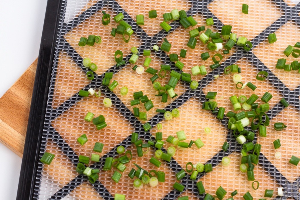 green onions on a dehydrator tray