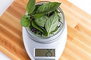 25 grams of thai basil on a scale