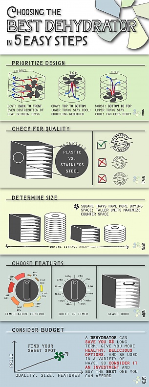 Infographic: choosing a dehydrator in 5 easy steps