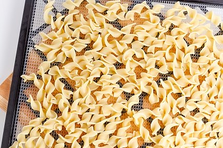 egg noodles spread on a dehydrator tray