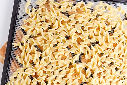 egg noodles spread on a dehydrator tray